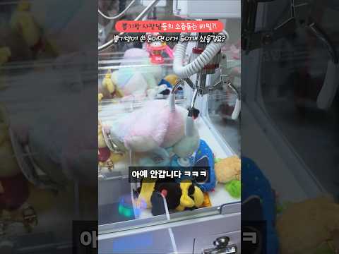뽑기방 사장님들 미안해요.. 가정용 미니 인형뽑기 기계 찐후기